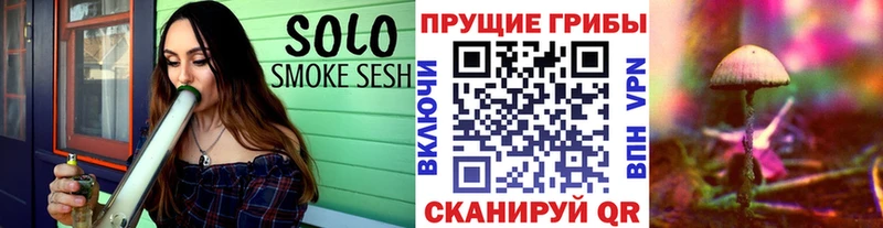 omg ссылка  Абдулино  Псилоцибиновые грибы прущие грибы 